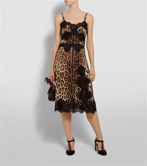 dolce gabbana leoperod print with lace|Dolce & Gabbana leopard print maxi dress.